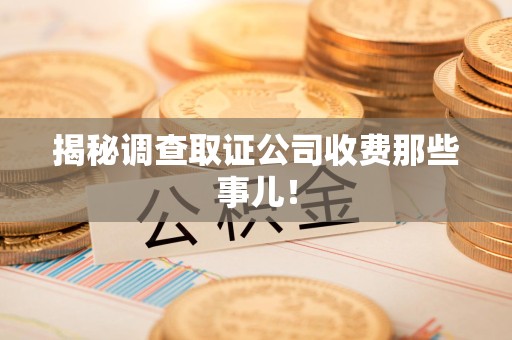 华安揭秘调查取证公司收费那些事儿！