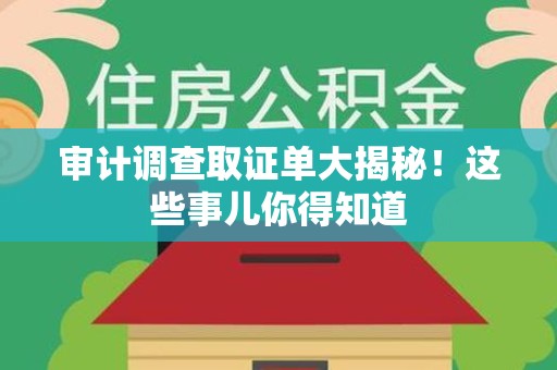 华安审计调查取证单大揭秘！这些事儿你得知道