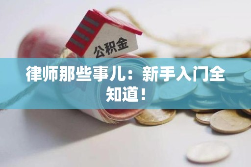 华安律师那些事儿：新手入门全知道！