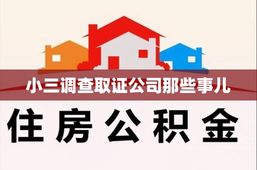 华安小三调查取证公司那些事儿