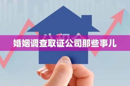 华安婚姻调查取证公司那些事儿