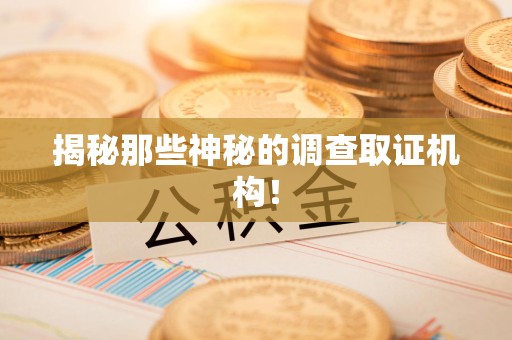 华安揭秘那些神秘的调查取证机构！