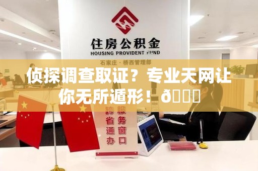 华安侦探调查取证？专业天网让你无所遁形！😎