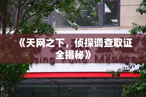 华安《天网之下，侦探调查取证全揭秘》