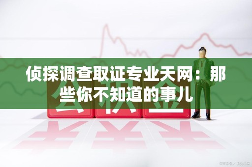 华安侦探调查取证专业天网：那些你不知道的事儿