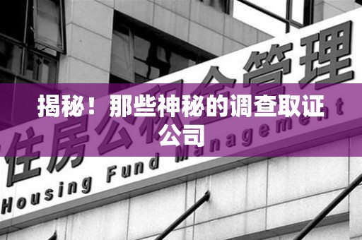华安揭秘！那些神秘的调查取证公司