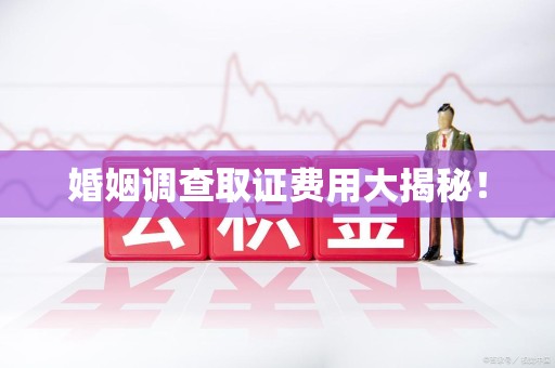 华安婚姻调查取证费用大揭秘！