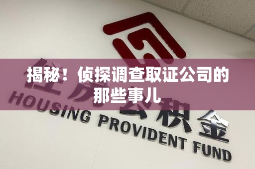 华安揭秘！侦探调查取证公司的那些事儿
