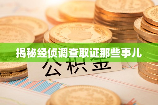 华安揭秘经侦调查取证那些事儿