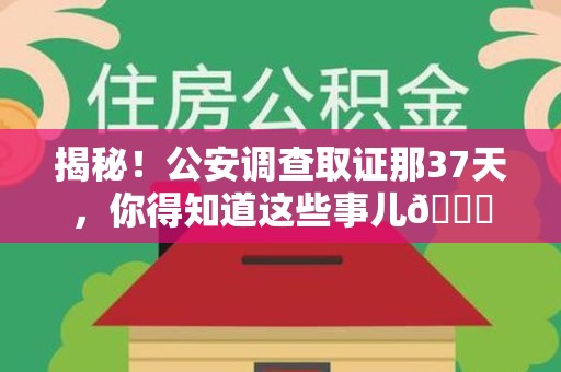 华安揭秘！公安调查取证那37天，你得知道这些事儿😎